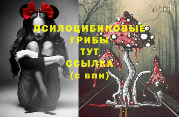 стафф Семёнов