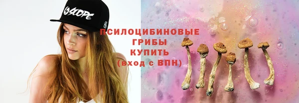 Альфа ПВП Абаза