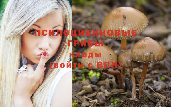 марки lsd Алзамай