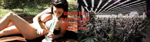 мдпв Семикаракорск